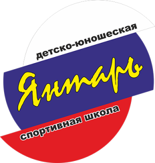 Муниципальное автономное учреждение дополнительного образования Детско-юношеская спортивная школа "Янтарь"